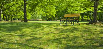 Pocket park with benches & grills